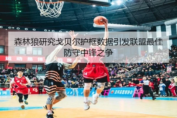 森林狼研究戈贝尔护框数据引发联盟最佳防守中锋之争